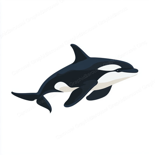 Orca Vector Graphic preview