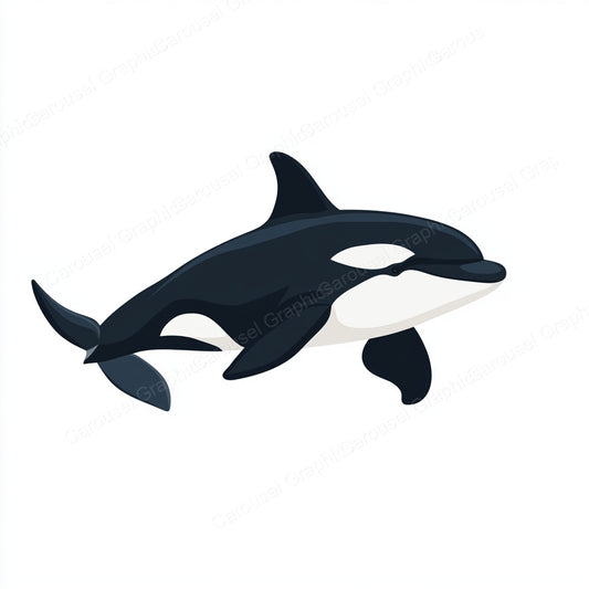 Orca Vector Graphic preview