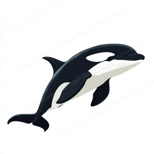 Orca Vector Graphic preview