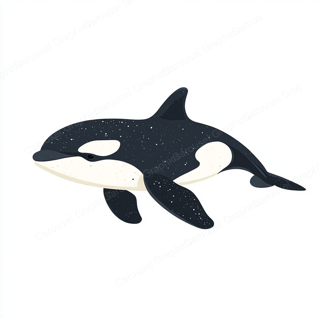 Orca Vector Graphic preview