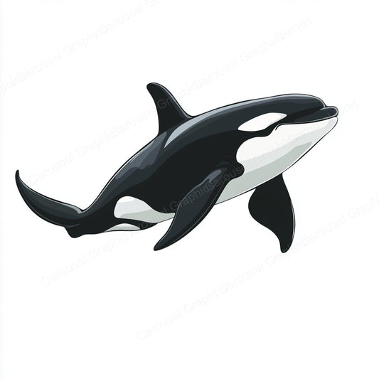 Orca Vector Graphic preview