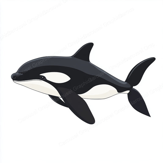 Orca Vector Graphic preview
