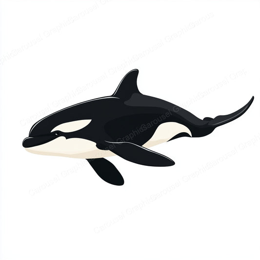 Orca Vector Graphic preview