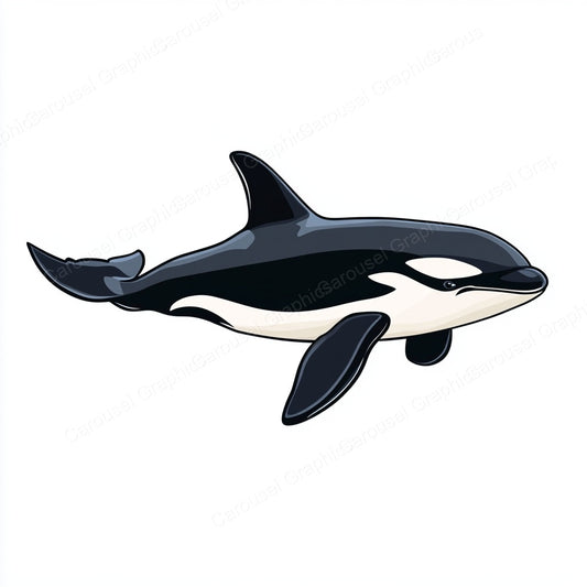 Orca Vector Graphic preview