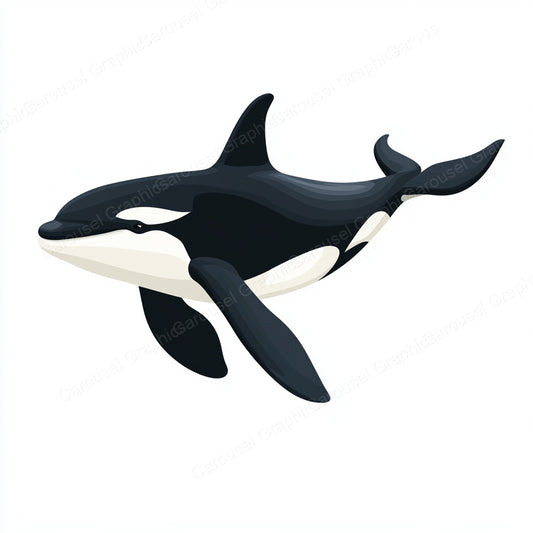 Orca Vector Graphic preview