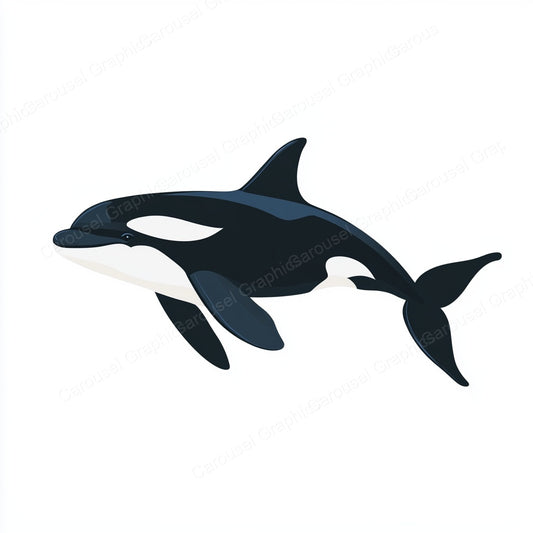 Orca Vector Graphic preview