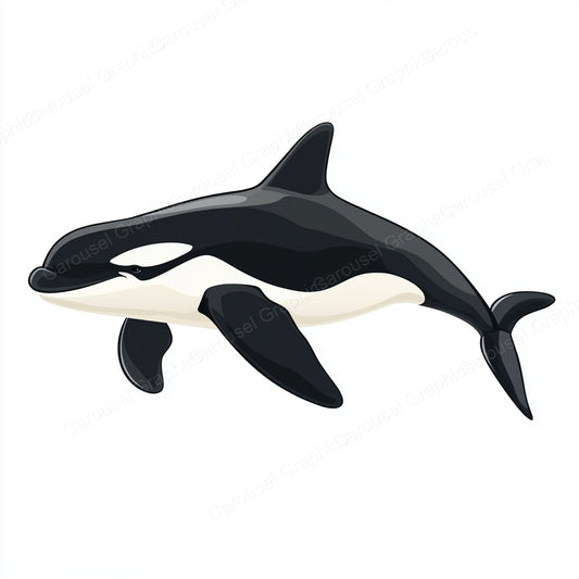 Orca Vector Graphic preview