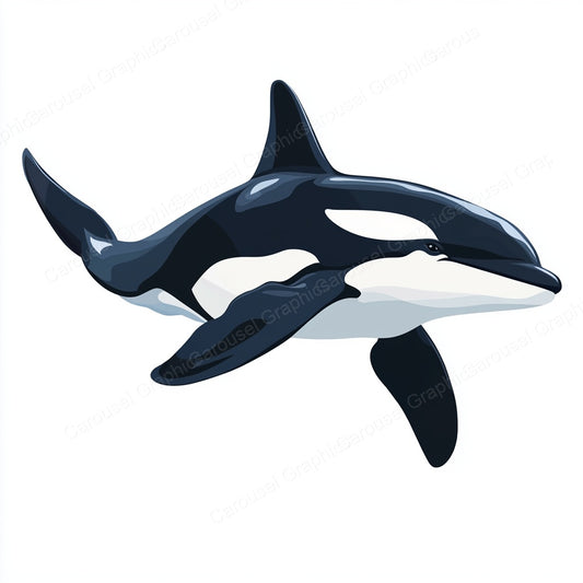 Orca Vector Graphic preview