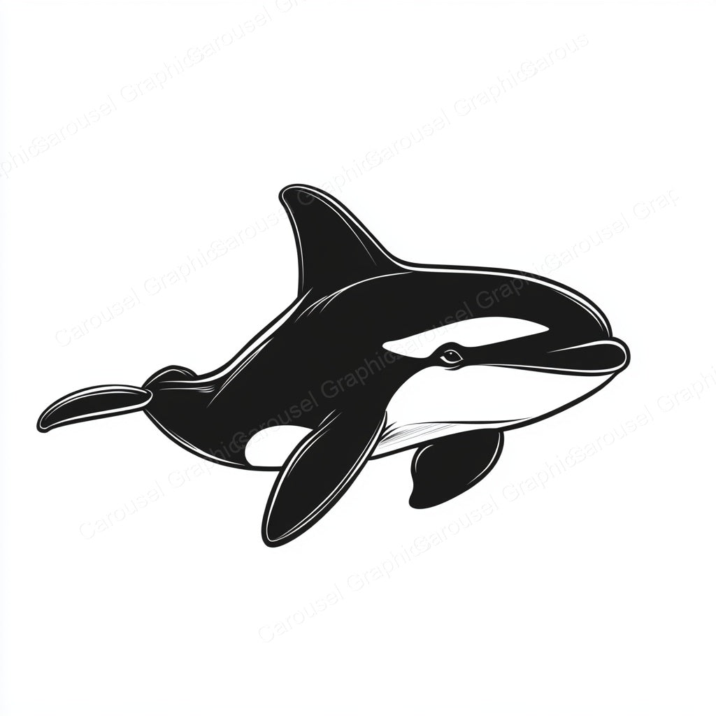 Orca Vector Graphic preview