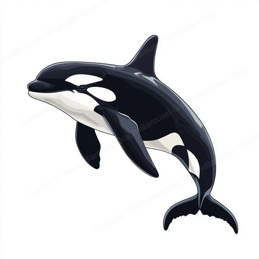 Orca Vector Graphic preview