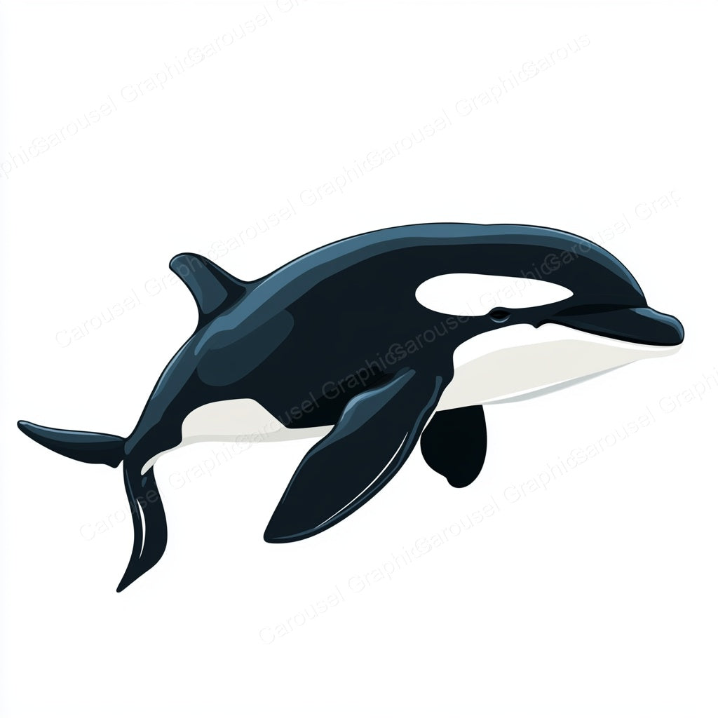 Orca Vector Graphic preview
