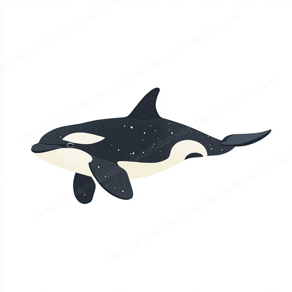 Orca Vector Graphic preview