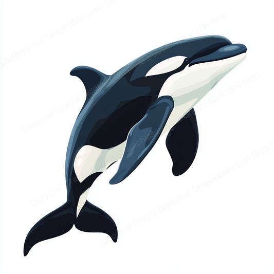 Orca Vector Graphic preview