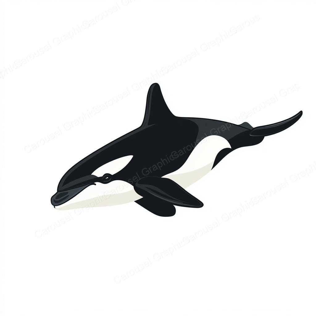Orca Vector Graphic preview