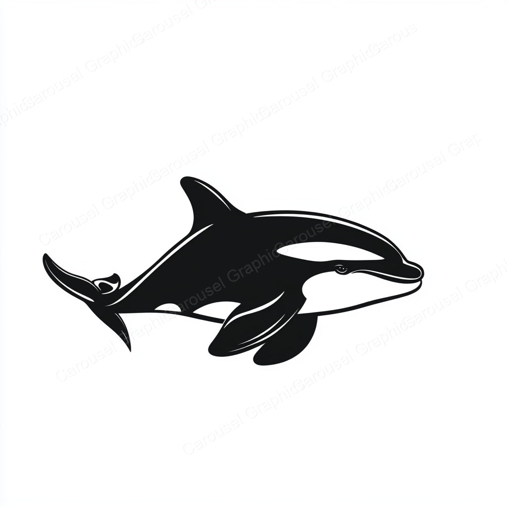 Orca Vector Graphic preview
