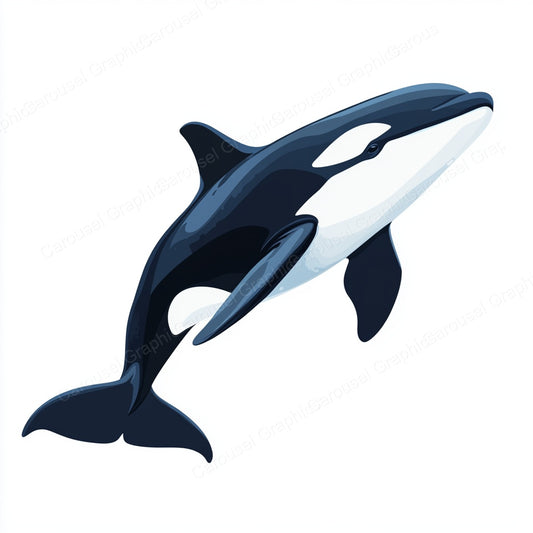 Orca Vector Graphic preview