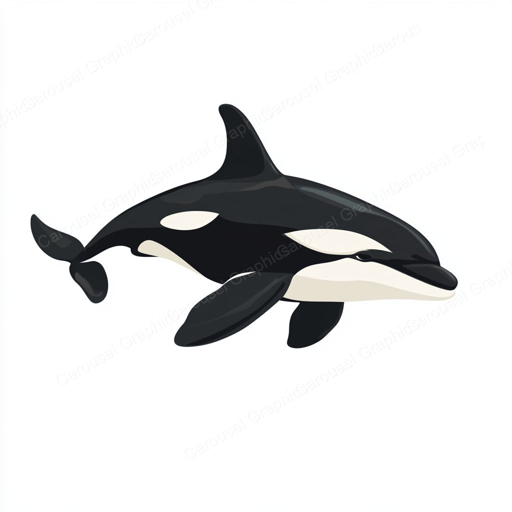 Orca Vector Graphic preview