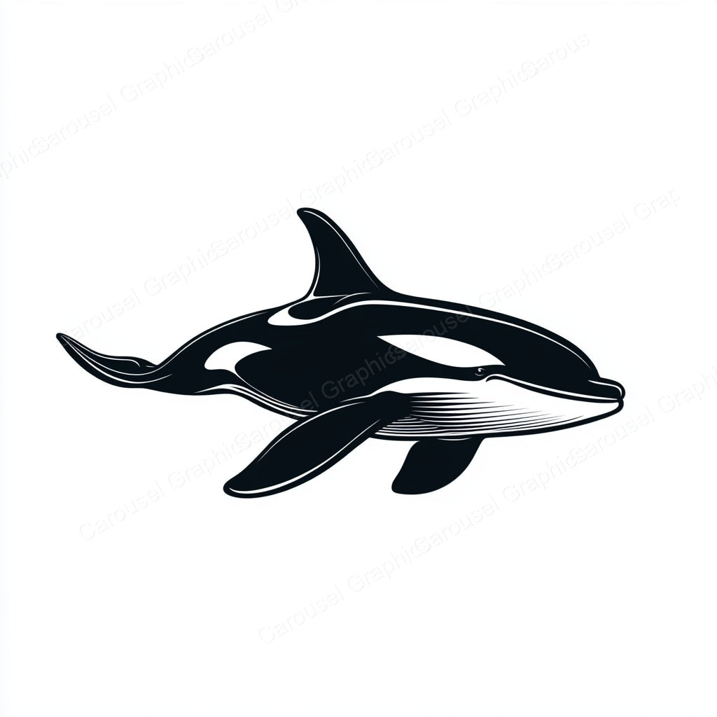 Orca Vector Graphic preview