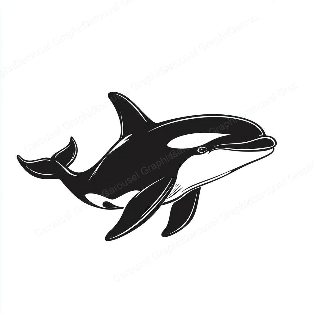 Orca Vector Graphic preview