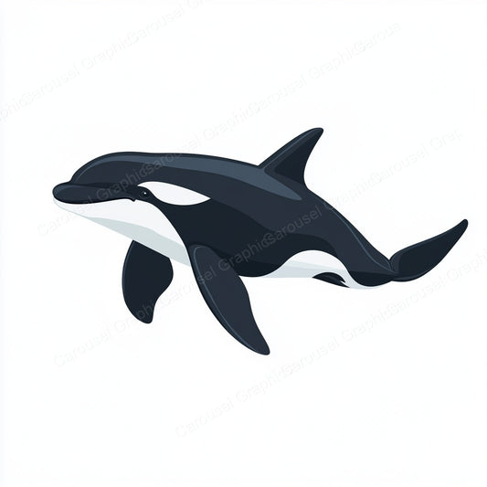 Orca Vector Graphic preview