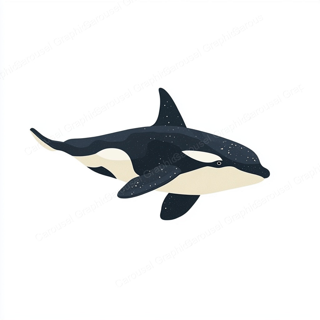 Orca Vector Graphic preview
