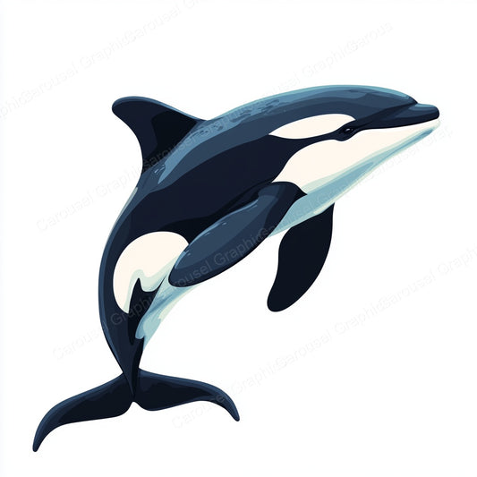 Orca Vector Graphic preview