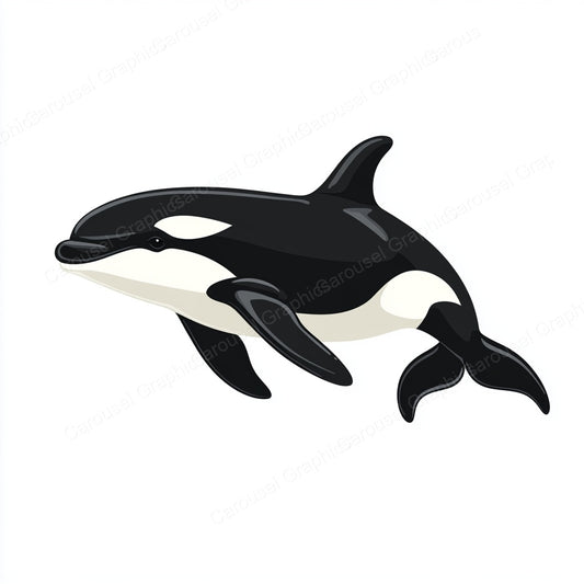 Orca Vector Graphic preview