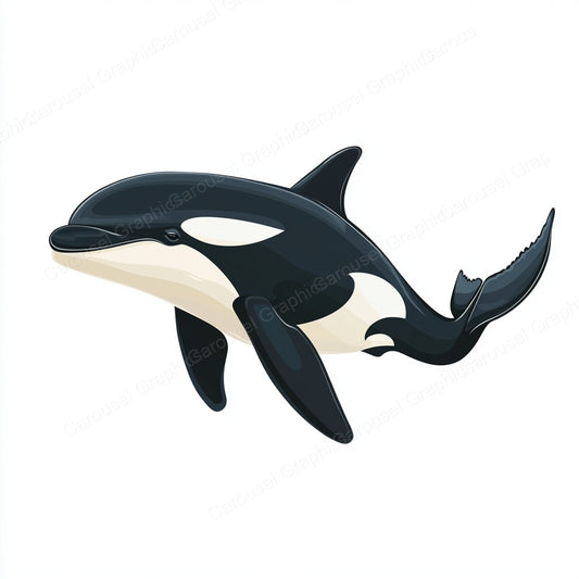 Orca Vector Graphic preview