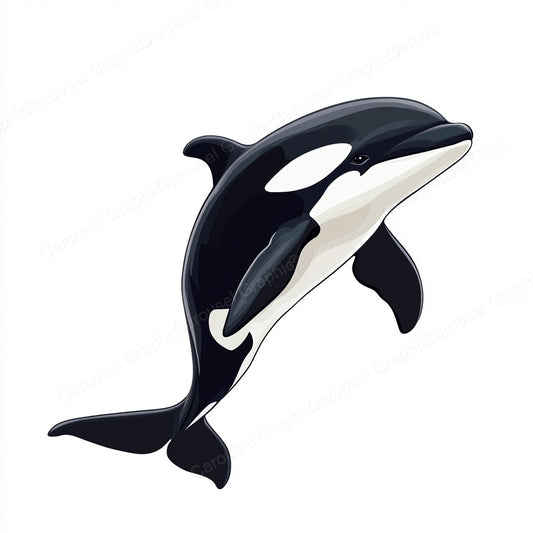 Orca Vector Graphic preview