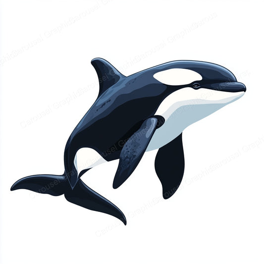 Orca Vector Graphic preview