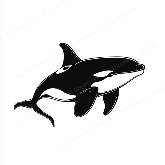 Orca Vector Graphic preview