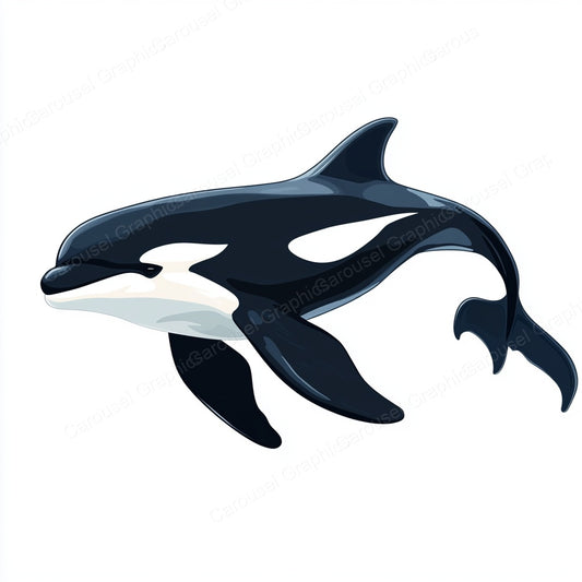 Orca Vector Graphic preview