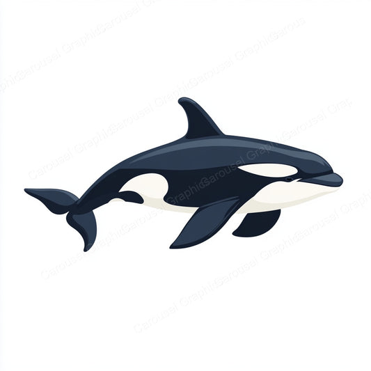Orca Vector Graphic preview
