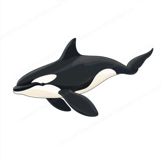 Orca Vector Graphic preview