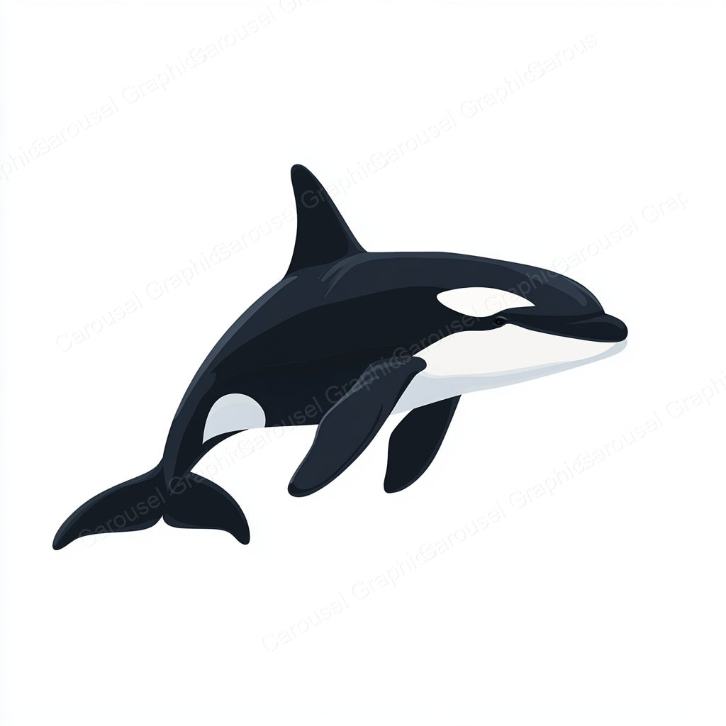 Orca Vector Graphic preview