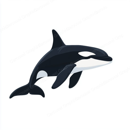 Orca Vector Graphic preview