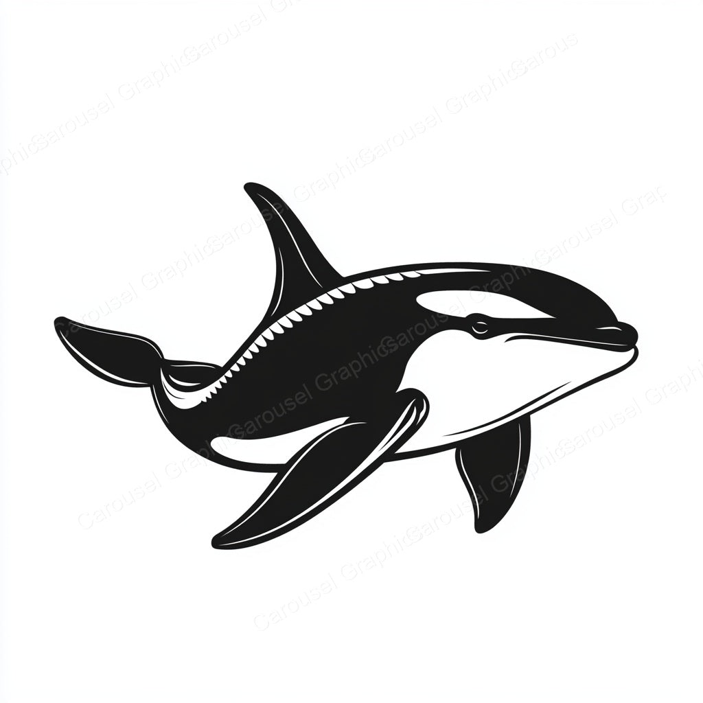 Orca Vector Graphic preview