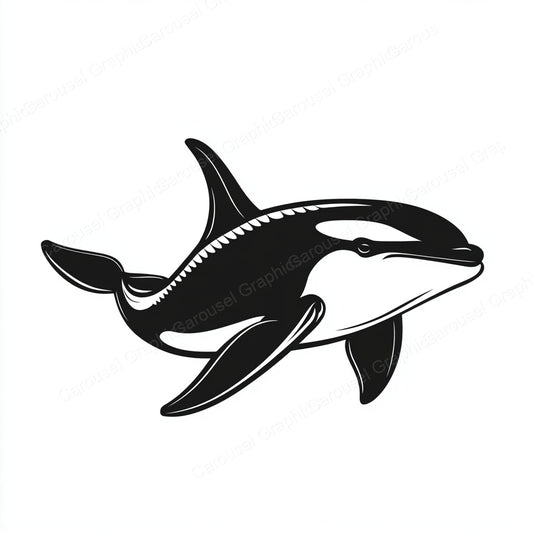 Orca Vector Graphic preview