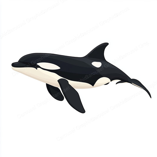 Orca Vector Graphic preview