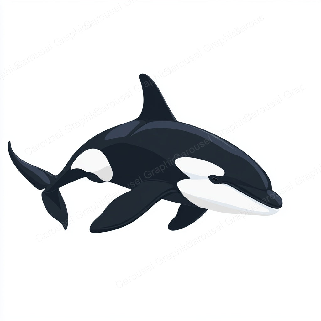 Orca Vector Graphic preview