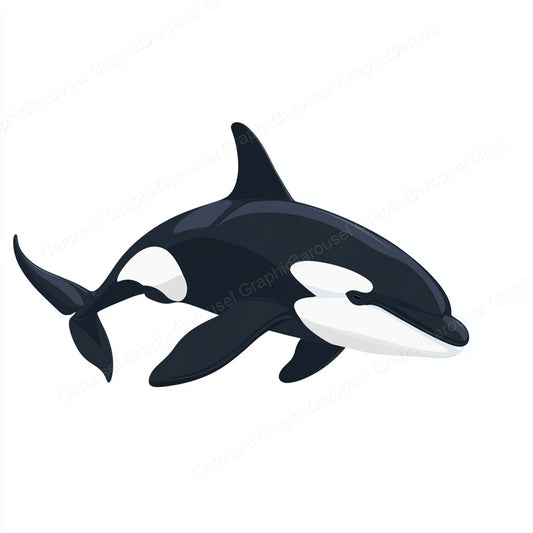 Orca Vector Graphic preview