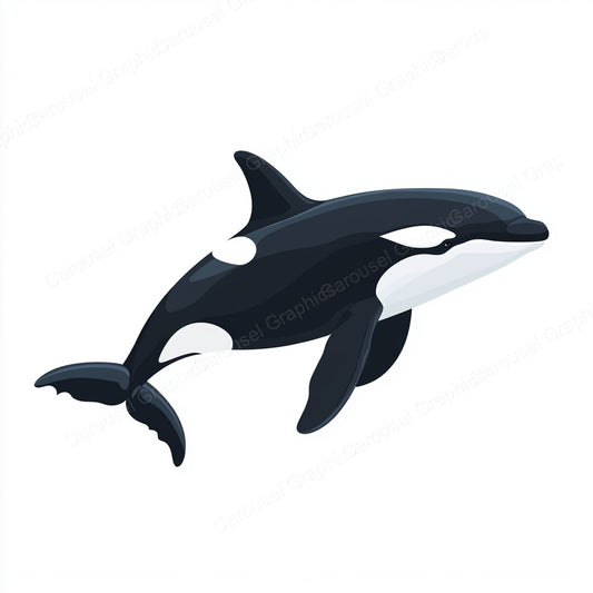 Orca Vector Graphic preview