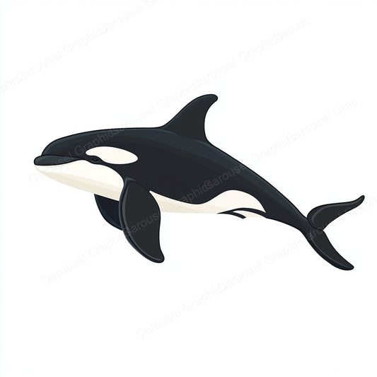 Orca Vector Graphic preview