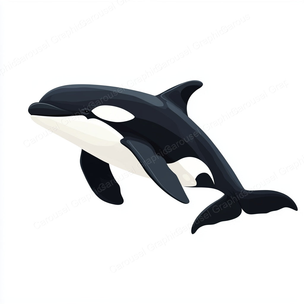 Orca Vector Graphic preview