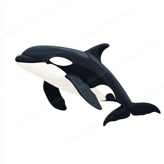 Orca Vector Graphic preview