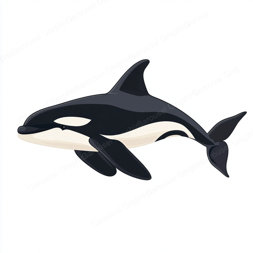 Orca Vector Graphic preview