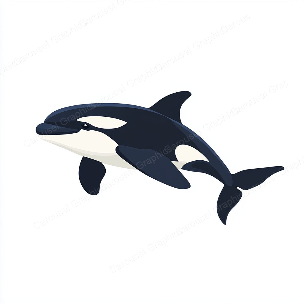Orca Vector Graphic preview