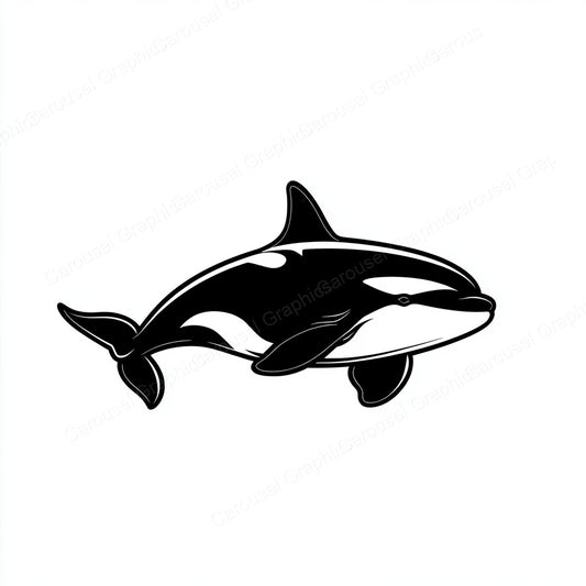 Orca Vector Graphic preview