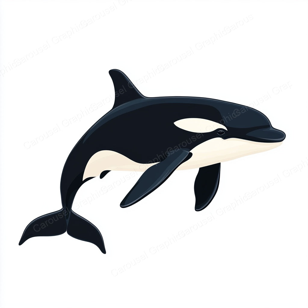 Orca Vector Graphic preview