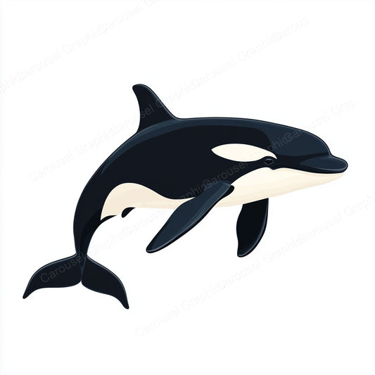 Orca Vector Graphic preview